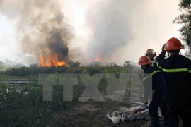 Thanh Hoa prevents forest fires during hot weather