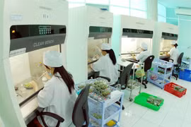 Forum discusses Vietnam – Japan cooperation in hi-tech farming