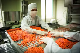 Hi-tech medicinal herb processing complex to be built in Gia Lai