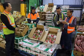 Workshop seeks to enhance exports of Vietnam agri-products