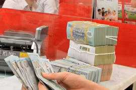 Reference exchange rate stable at week’s beginning