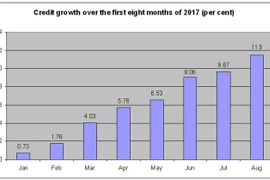 Eight-month credit growth rate touches 11.5 percent