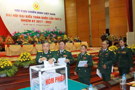 Nguyen Van Duoc re-elected VWVA chairman