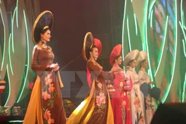 7th Da Lat Flower Festival wraps up 