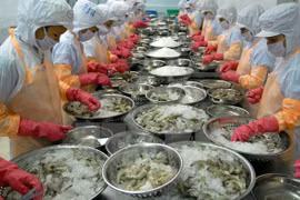 Vietnam-EAEU FTA gives boost to economic, trade ties