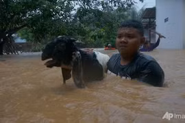 Cyclone death toll in Indonesia increases to 41