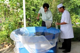 Binh Duong increases prevention of dengue fever