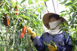 Women’s economic empowerment spotlighted at UN discussion