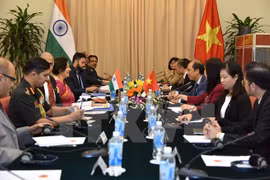 Vietnam, India hold 9th political consultation, 6th strategic dialogue