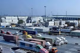 SOEs equitisation must be more substantive: expert