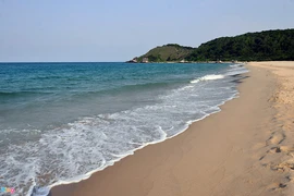 Ha Tinh launches beach clean-up campaign