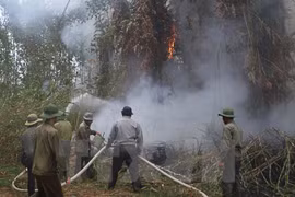 Central Highlands region works to prevent dry-season forest fire
