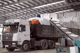 Fertilizer firms expect stocks to pick up in 2017