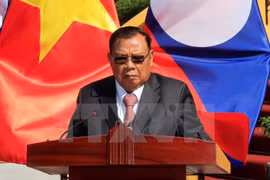 Vietnam-Laos Friendship, Solidarity Year 2017 concludes with success