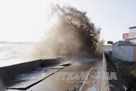 Experience shared to enhance natural disaster resilience