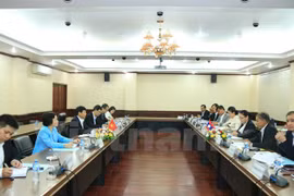 Vietnam, Laos hold second political consultation 