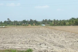 An Giang works to mitigate drought, salinity affects