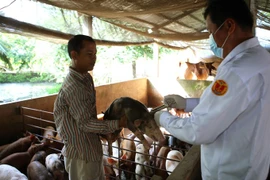 Vietnam to export pork to China, official says