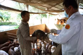Vietnam to export pork to China, official says