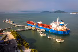 VN-Index down, Petrolimex debuts