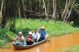 More Asian openbill storks flock to ecotourism site in Dong Thap