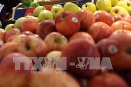 Fruit, vegetable imports hit 655 million USD in first half 