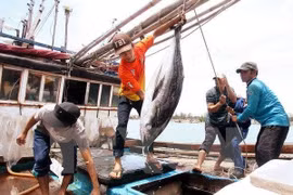 Vietnam tuna exports exceed yearly target