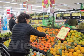 Franchise of Vietnamese brands just in initial stage: insiders