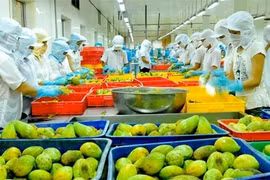 Vietnam targets vegetable, fruit export value at 3 billion USD