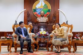 Lao top legislator lauds Vietnamese-Lao judicial cooperation