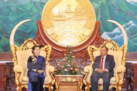 NA Chairwoman pays courtesy call on top Lao leader