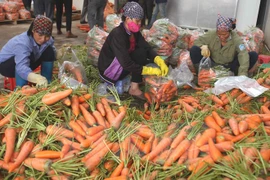 Fruit and veggie safety to be tightened