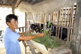 Project on climate change adaptation benefits Ben Tre province