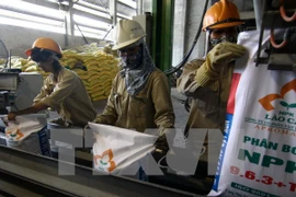  Second action month for labour safety to be held in May 2018