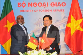 Cameroon keen on broadening affiliation with Vietnam 