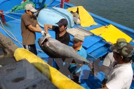 Cooperative groups connect fishermen at sea