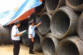 VSA urges steel import controls