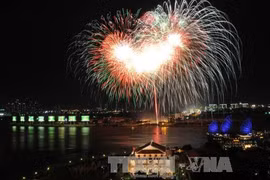 HCM City to welcome New Year with firework shows