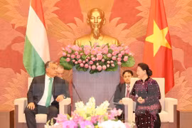 Hungary willing to share e-government building experience with VN 