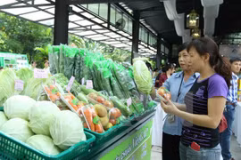 Firms with green production earn more benefits: workshop