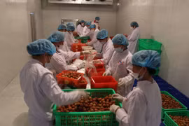 Fruit industry needs technology to reach potential