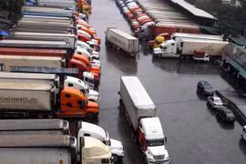 Vietnam to make customs reform