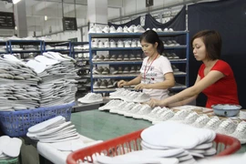 Vietnam boasts opportunities to export products to Africa, Middle East