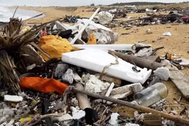 Quang Nam works to tackle coastal oil, rubbish 