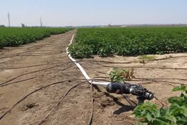 Vietnamese students attend agricultural MSc programme in Israel