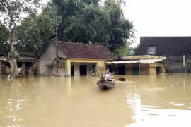 Government gives further flood relief to Binh Dinh province