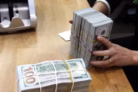 Reference exchange rate rises by 4 VND 