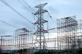 EVN asked to keep key role in national electricity supply