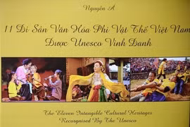 Photo book shows off Vietnam heritage