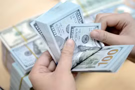 Vietnamese shares buoyed by Fed hike